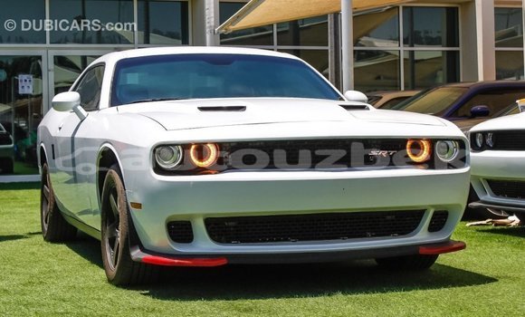 Buy Import Dodge Challenger White Car in Import - Dubai in Andijon Buy Import Dodge Challenger White Car in Import - Dubai in Andijon