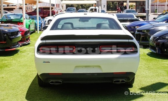 Buy Import Dodge Challenger White Car in Import - Dubai in Andijon Buy Import Dodge Challenger White Car in Import - Dubai in Andijon