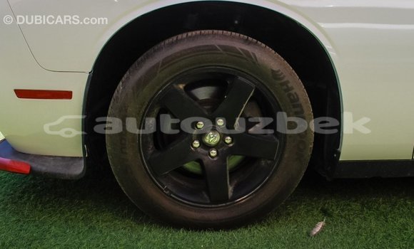 Buy Import Dodge Challenger White Car in Import - Dubai in Andijon Buy Import Dodge Challenger White Car in Import - Dubai in Andijon