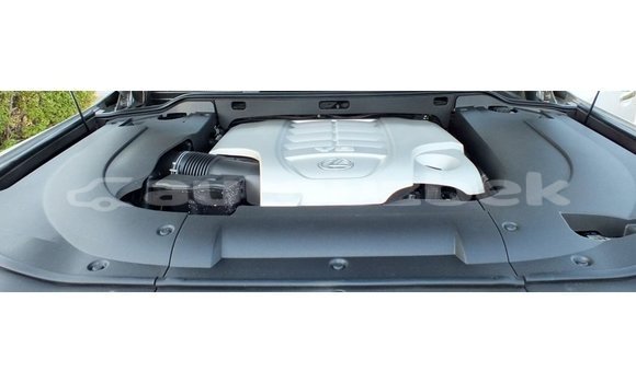 Buy Import Lexus LX Other Car in Import - Dubai in Andijon Buy Import Lexus LX Other Car in Import - Dubai in Andijon