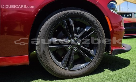 Buy Import Dodge Charger Red Car in Import - Dubai in Andijon Buy Import Dodge Charger Red Car in Import - Dubai in Andijon
