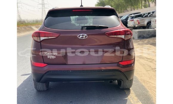 Buy Import Hyundai Tucson Red Car in Import - Dubai in Andijon Buy Import Hyundai Tucson Red Car in Import - Dubai in Andijon