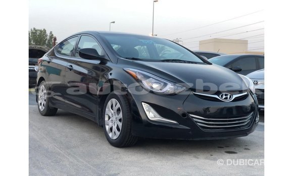Buy Import Hyundai Elantra Black Car in Import - Dubai in Andijon Buy Import Hyundai Elantra Black Car in Import - Dubai in Andijon