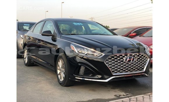Buy Import Hyundai Sonata Black Car in Import - Dubai in Andijon Buy Import Hyundai Sonata Black Car in Import - Dubai in Andijon
