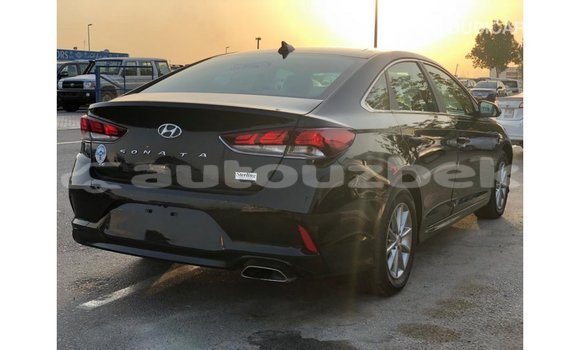 Buy Import Hyundai Sonata Black Car in Import - Dubai in Andijon Buy Import Hyundai Sonata Black Car in Import - Dubai in Andijon