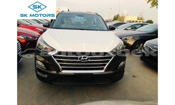 Buy Import Hyundai Tucson Brown Car in Import - Dubai in Andijon