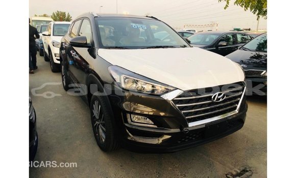 Buy Import Hyundai Tucson Brown Car in Import - Dubai in Andijon Buy Import Hyundai Tucson Brown Car in Import - Dubai in Andijon