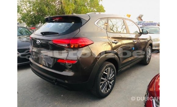 Buy Import Hyundai Tucson Brown Car in Import - Dubai in Andijon Buy Import Hyundai Tucson Brown Car in Import - Dubai in Andijon