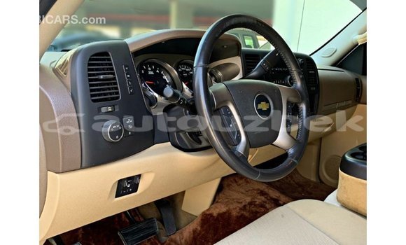 Buy Import Chevrolet Silverado White Car in Import - Dubai in Andijon Buy Import Chevrolet Silverado White Car in Import - Dubai in Andijon