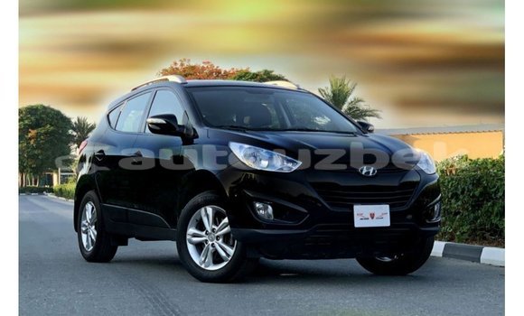 Buy Import Hyundai Tucson Black Car in Import - Dubai in Andijon