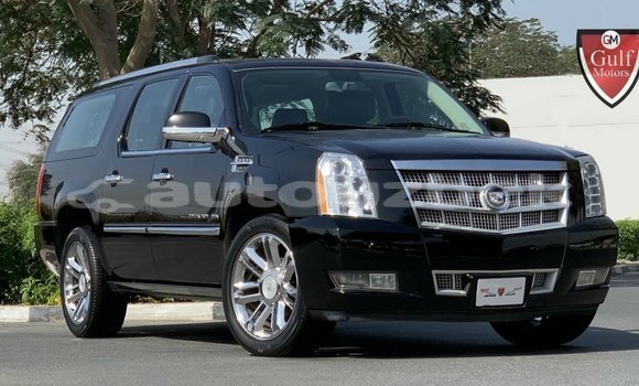 Buy Import Cadillac Escalade Black Car in Import - Dubai in Andijon