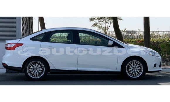 Buy Import Ford Focus White Car in Import - Dubai in Andijon Buy Import Ford Focus White Car in Import - Dubai in Andijon