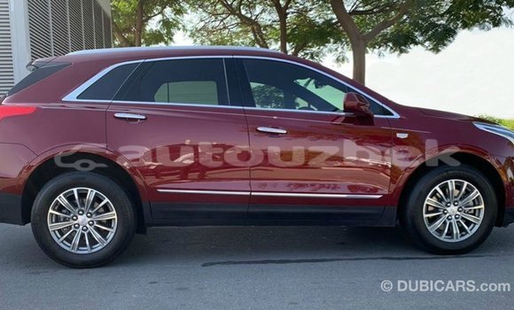 Buy Import Cadillac XT5 Red Car in Import - Dubai in Andijon Buy Import Cadillac XT5 Red Car in Import - Dubai in Andijon