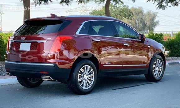 Buy Import Cadillac XT5 Red Car in Import - Dubai in Andijon Buy Import Cadillac XT5 Red Car in Import - Dubai in Andijon