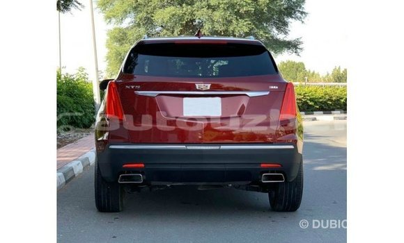Buy Import Cadillac XT5 Red Car in Import - Dubai in Andijon Buy Import Cadillac XT5 Red Car in Import - Dubai in Andijon