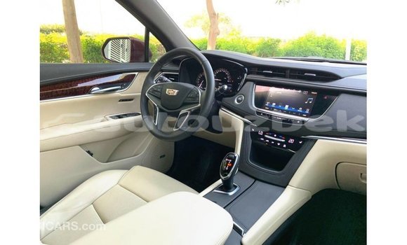 Buy Import Cadillac XT5 Red Car in Import - Dubai in Andijon Buy Import Cadillac XT5 Red Car in Import - Dubai in Andijon
