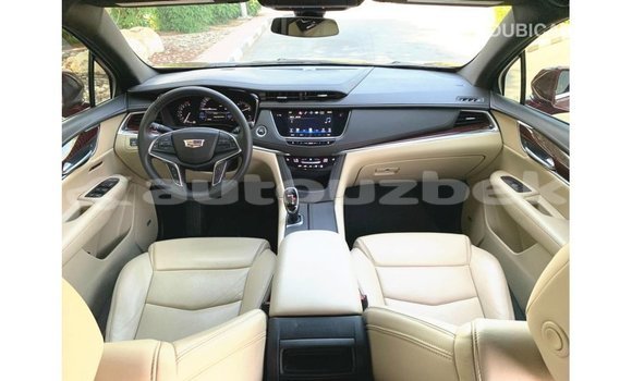 Buy Import Cadillac XT5 Red Car in Import - Dubai in Andijon Buy Import Cadillac XT5 Red Car in Import - Dubai in Andijon