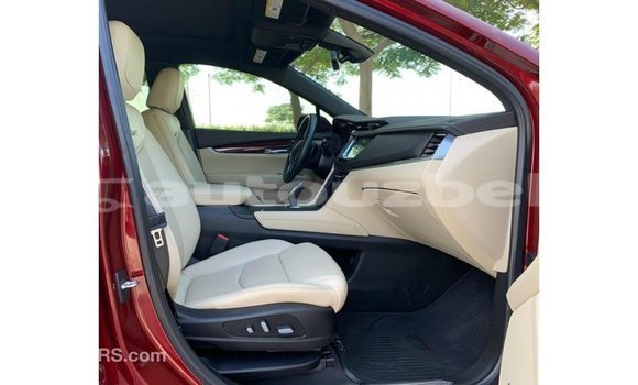Buy Import Cadillac XT5 Red Car in Import - Dubai in Andijon Buy Import Cadillac XT5 Red Car in Import - Dubai in Andijon