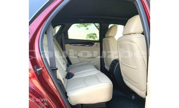 Buy Import Cadillac XT5 Red Car in Import - Dubai in Andijon Buy Import Cadillac XT5 Red Car in Import - Dubai in Andijon