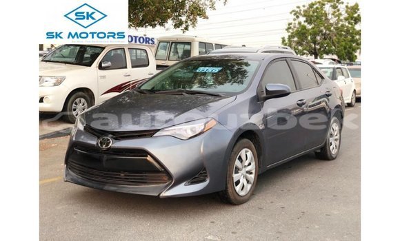 Buy Import Toyota Corolla Other Car in Import - Dubai in Andijon Buy Import Toyota Corolla Other Car in Import - Dubai in Andijon