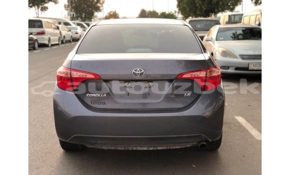 Buy Import Toyota Corolla Other Car in Import - Dubai in Andijon Buy Import Toyota Corolla Other Car in Import - Dubai in Andijon