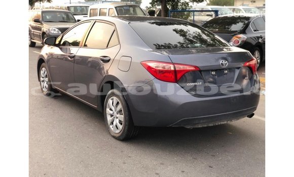 Buy Import Toyota Corolla Other Car in Import - Dubai in Andijon Buy Import Toyota Corolla Other Car in Import - Dubai in Andijon