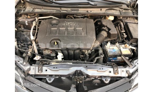 Buy Import Toyota Corolla Other Car in Import - Dubai in Andijon Buy Import Toyota Corolla Other Car in Import - Dubai in Andijon