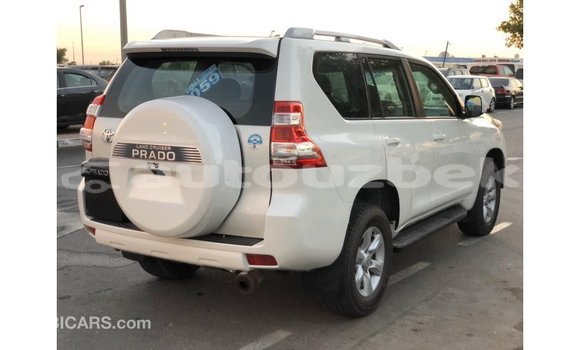 Buy Import Toyota Prado White Car in Import - Dubai in Andijon Buy Import Toyota Prado White Car in Import - Dubai in Andijon
