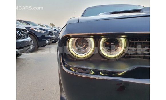 Buy Import Dodge Challenger Black Car in Import - Dubai in Andijon Buy Import Dodge Challenger Black Car in Import - Dubai in Andijon