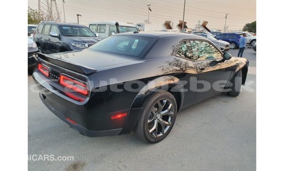 Buy Import Dodge Challenger Black Car in Import - Dubai in Andijon Buy Import Dodge Challenger Black Car in Import - Dubai in Andijon