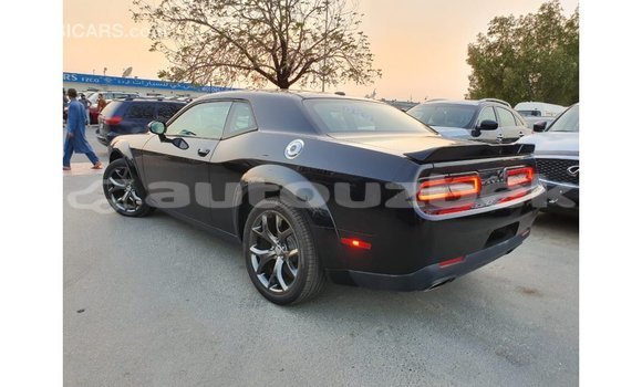 Buy Import Dodge Challenger Black Car in Import - Dubai in Andijon Buy Import Dodge Challenger Black Car in Import - Dubai in Andijon