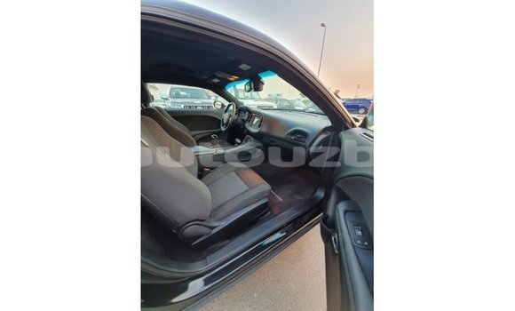 Buy Import Dodge Challenger Black Car in Import - Dubai in Andijon Buy Import Dodge Challenger Black Car in Import - Dubai in Andijon