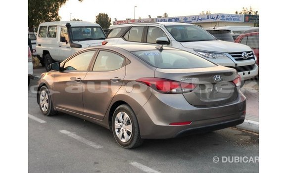 Buy Import Hyundai Elantra Brown Car in Import - Dubai in Andijon Buy Import Hyundai Elantra Brown Car in Import - Dubai in Andijon