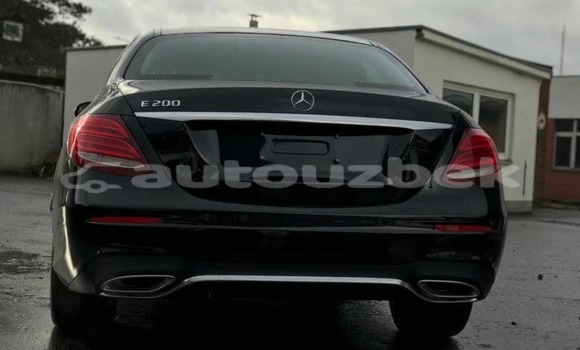 Buy Used Mercedes-Benz E-klasse Black Car in Tashkent in Toskent Buy Used Mercedes-Benz E-klasse Black Car in Tashkent in Toskent