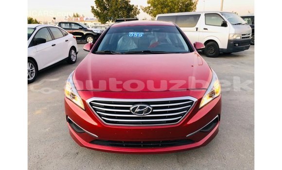 Buy Import Hyundai Sonata Red Car in Import - Dubai in Andijon Buy Import Hyundai Sonata Red Car in Import - Dubai in Andijon