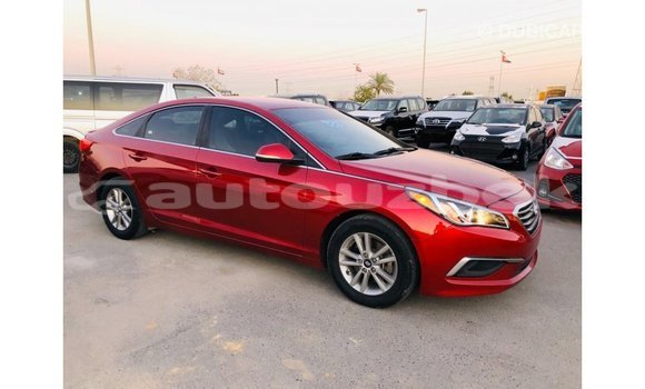 Buy Import Hyundai Sonata Red Car in Import - Dubai in Andijon Buy Import Hyundai Sonata Red Car in Import - Dubai in Andijon