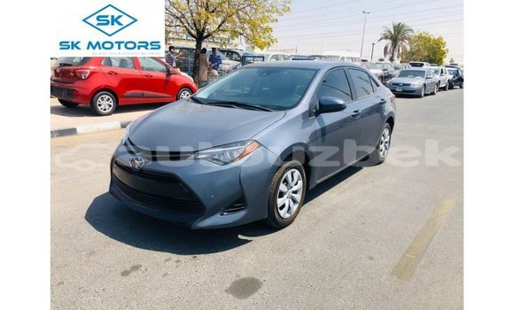 Buy Import Toyota Corolla Other Car in Import - Dubai in Andijon Buy Import Toyota Corolla Other Car in Import - Dubai in Andijon