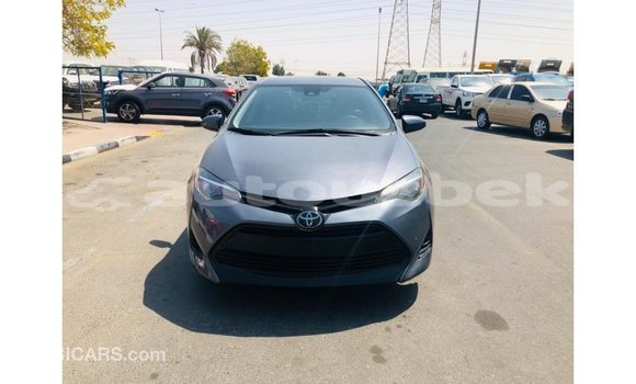 Buy Import Toyota Corolla Other Car in Import - Dubai in Andijon Buy Import Toyota Corolla Other Car in Import - Dubai in Andijon