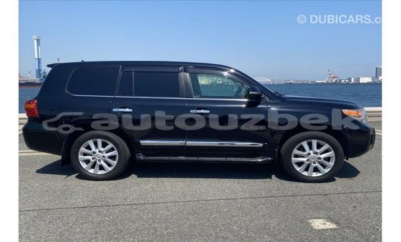 Buy Import Toyota Land Cruiser Black Car in Import - Dubai in Andijon Buy Import Toyota Land Cruiser Black Car in Import - Dubai in Andijon