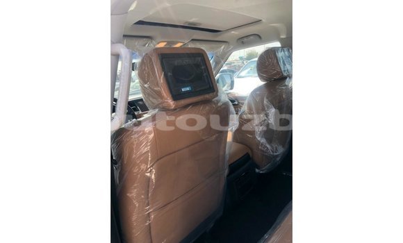 Buy Import Nissan Patrol White Car in Import - Dubai in Andijon Buy Import Nissan Patrol White Car in Import - Dubai in Andijon