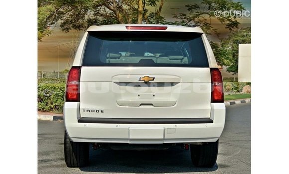 Buy Import Chevrolet Tahoe White Car in Import - Dubai in Andijon Buy Import Chevrolet Tahoe White Car in Import - Dubai in Andijon