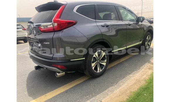 Buy Import Honda C Other Bike in Import - Dubai in Andijon Buy Import Honda C Other Bike in Import - Dubai in Andijon