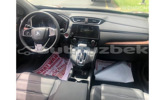 Buy Import Honda C Other Bike in Import - Dubai in Andijon Buy Import Honda C Other Bike in Import - Dubai in Andijon