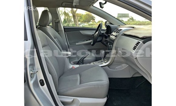 Buy Import Toyota Corolla Other Car in Import - Dubai in Andijon Buy Import Toyota Corolla Other Car in Import - Dubai in Andijon