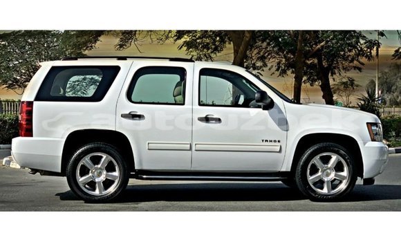 Buy Import Chevrolet Tahoe White Car in Import - Dubai in Andijon Buy Import Chevrolet Tahoe White Car in Import - Dubai in Andijon