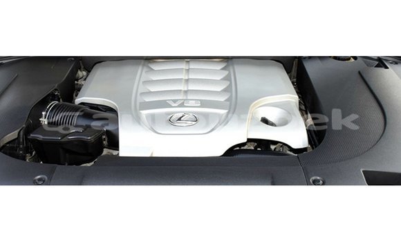 Buy Import Lexus LX White Car in Import - Dubai in Andijon Buy Import Lexus LX White Car in Import - Dubai in Andijon