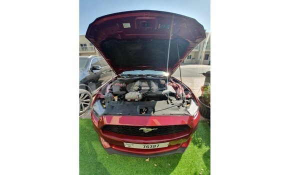Buy Import Ford Mustang Red Car in Import - Dubai in Andijon Buy Import Ford Mustang Red Car in Import - Dubai in Andijon
