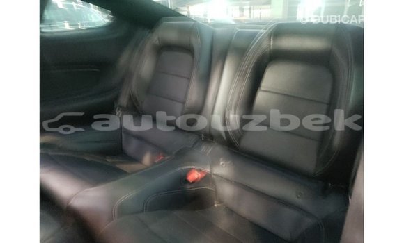 Buy Import Ford Mustang Black Car in Import - Dubai in Andijon Buy Import Ford Mustang Black Car in Import - Dubai in Andijon