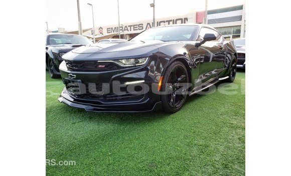 Buy Import Chevrolet Camaro Black Car in Import - Dubai in Andijon Buy Import Chevrolet Camaro Black Car in Import - Dubai in Andijon