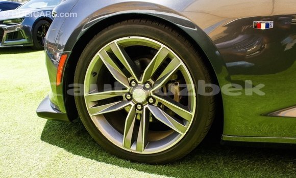 Buy Import Chevrolet Camaro Other Car in Import - Dubai in Andijon Buy Import Chevrolet Camaro Other Car in Import - Dubai in Andijon